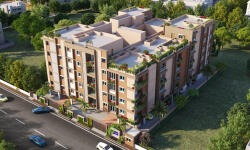 Asset Tree Homes  Meadows
